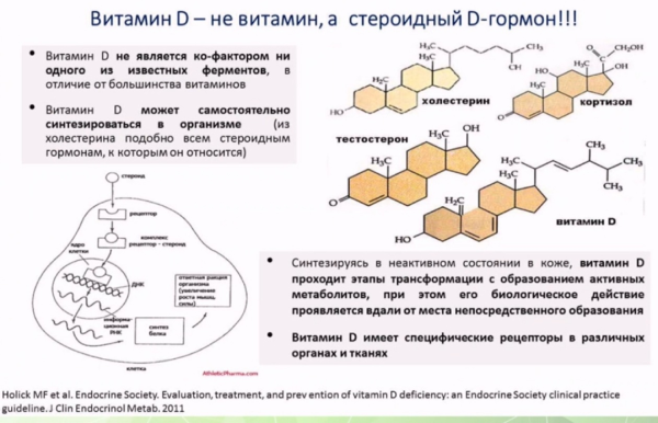 витамин D — гормон